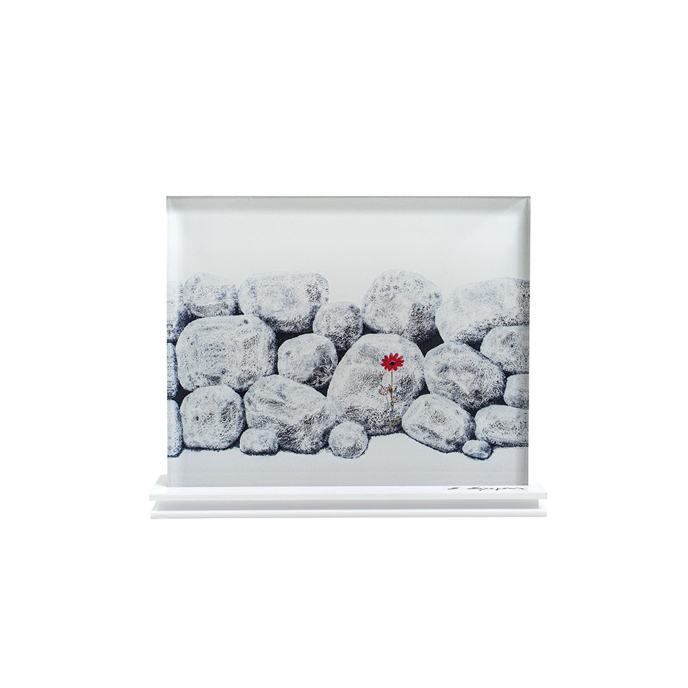 Μεταξοτυπία - Μουσειακά μελάνια σε plexiglass, Σωτήρης Σόρογκας