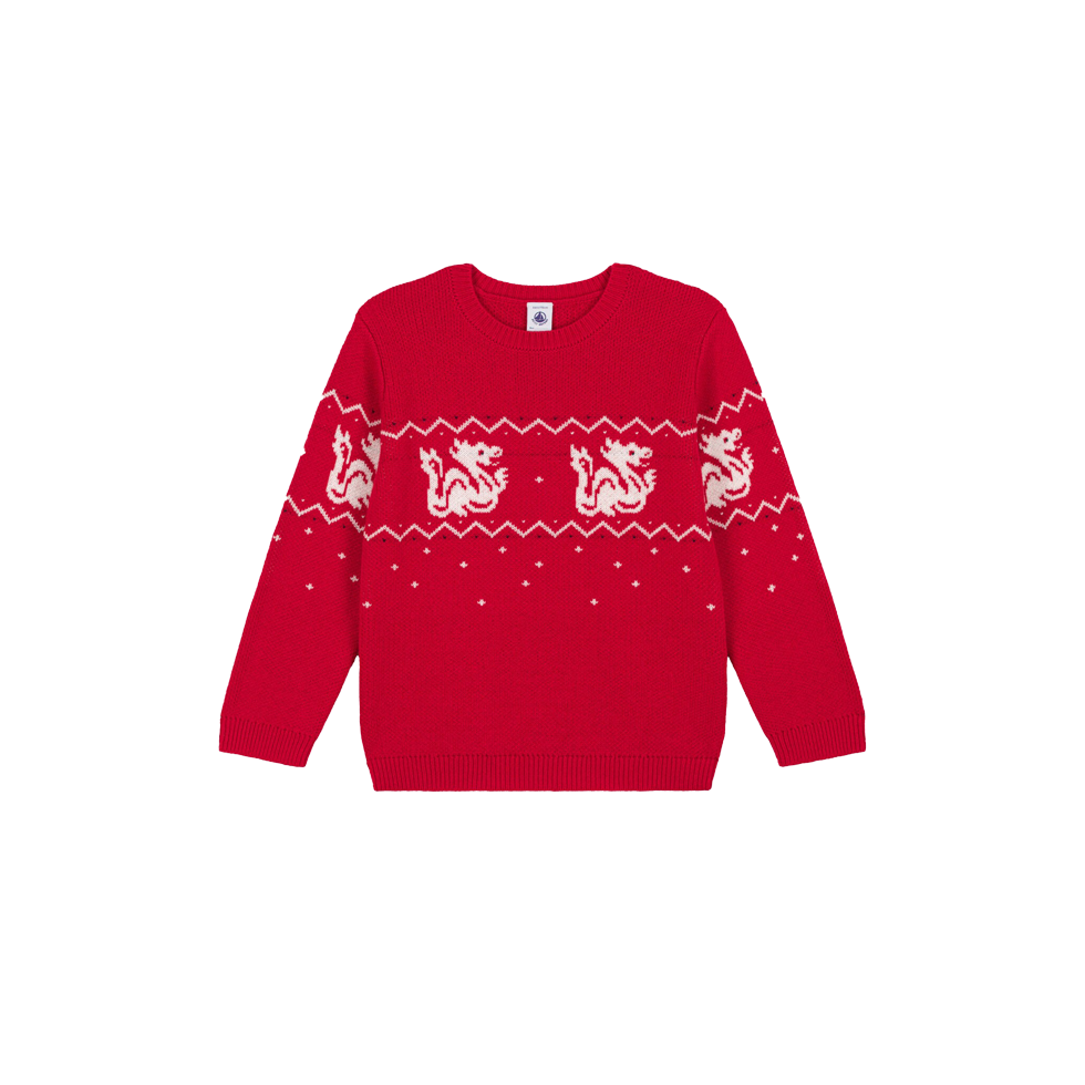 Red sweater with Christmas pattern