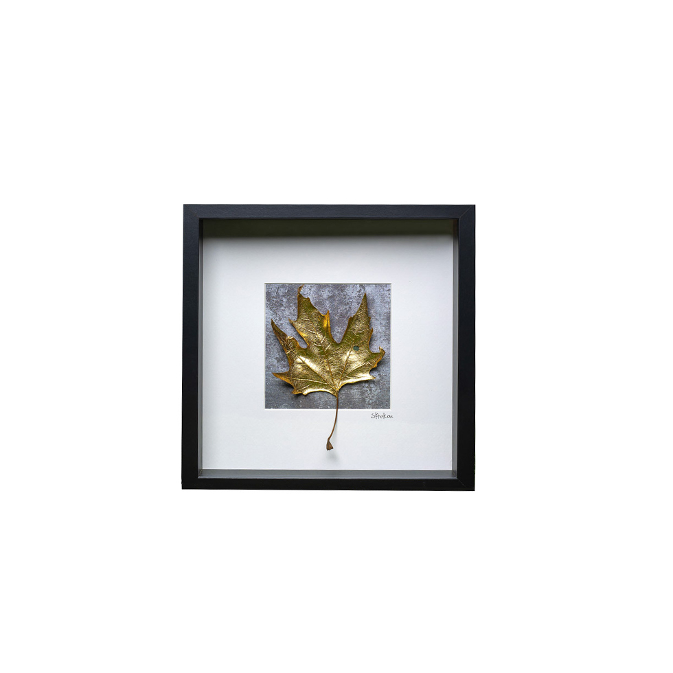 Κάδρο Πλάτανος ο Ανατολικός