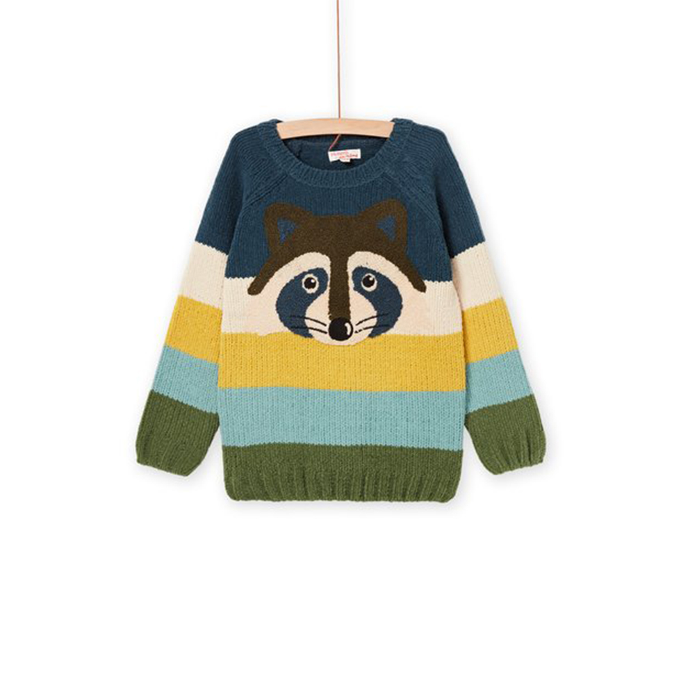 Πουλόβερ με σχέδιο ρακούν για αγόρια 